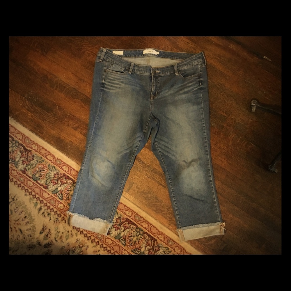 Torrid denim capris